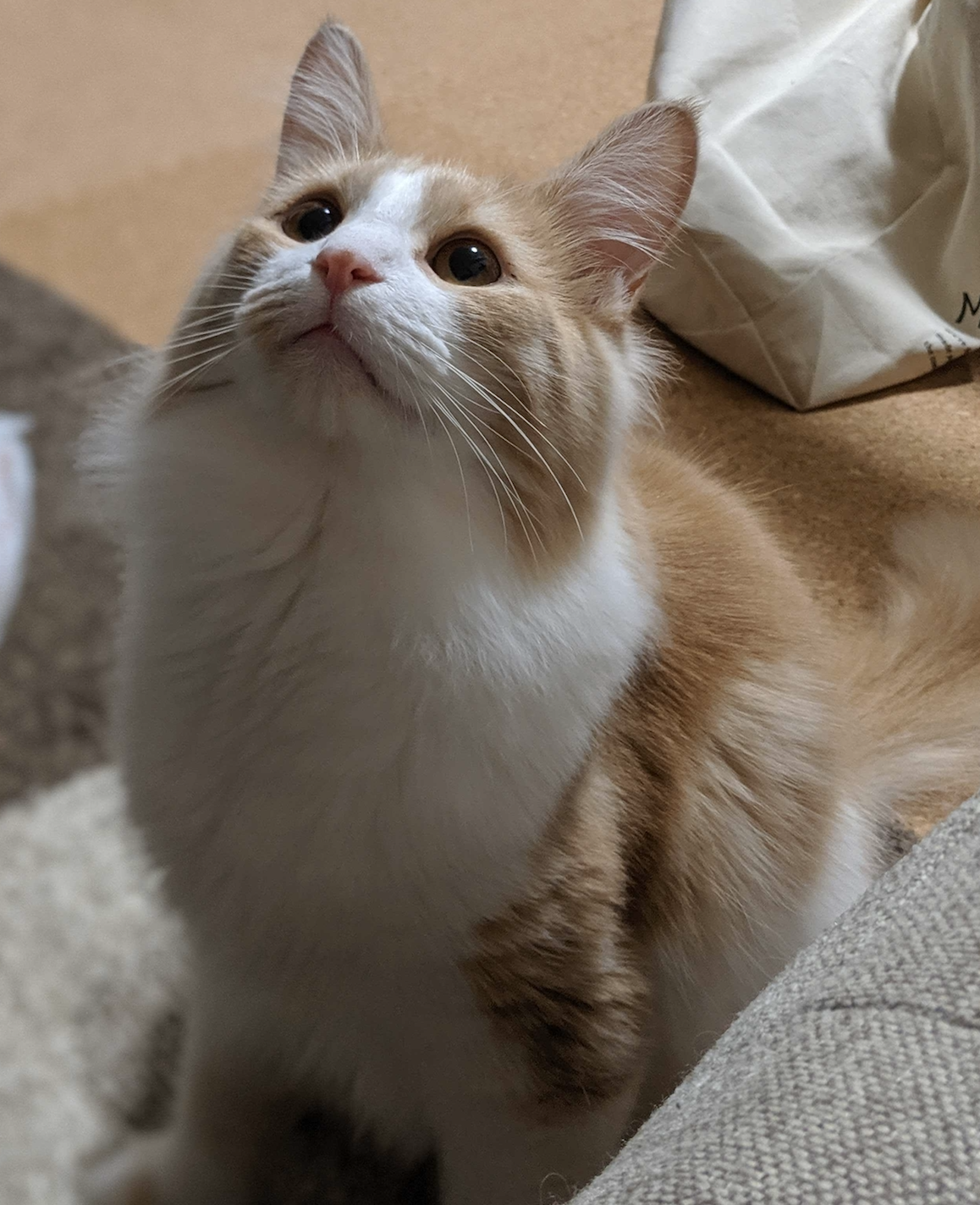 haru201907121